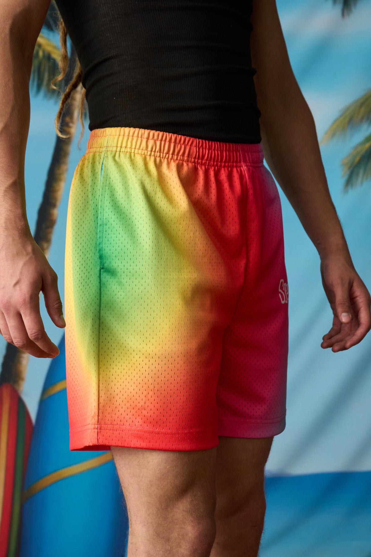 Sublime Shorts (Multi)